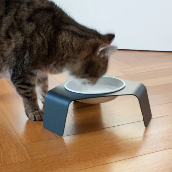 Preview: Lucy Balu DELI Katzen Futter- oder Wassernapf schwarz